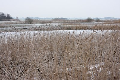 BUITEN BEELD Foto: 79167