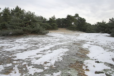 BUITEN BEELD Foto: 79170