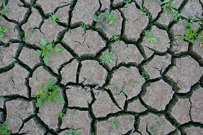 BUITEN BEELD Foto: 79190