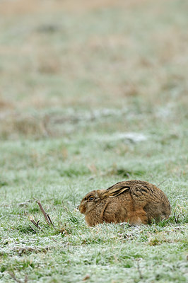 BUITEN BEELD Foto: 79193