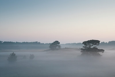 BUITEN BEELD Foto: 79212
