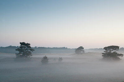 BUITEN BEELD Foto: 79213