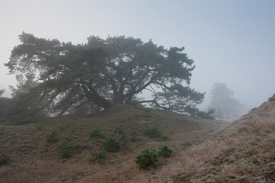 BUITEN BEELD Foto: 79227