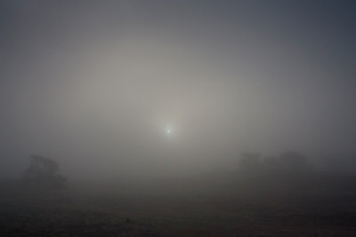 BUITEN BEELD Foto: 79229