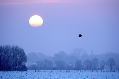 BUITEN BEELD Foto: 79274