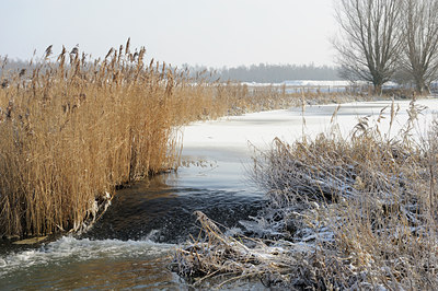 BUITEN BEELD Foto: 79277