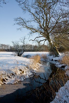 BUITEN BEELD Foto: 79282