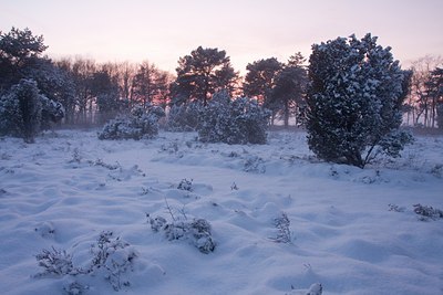 BUITEN BEELD Foto: 79295