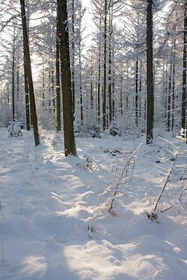 BUITEN BEELD Foto: 79297
