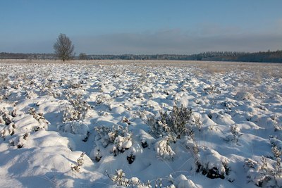 BUITEN BEELD Foto: 79299