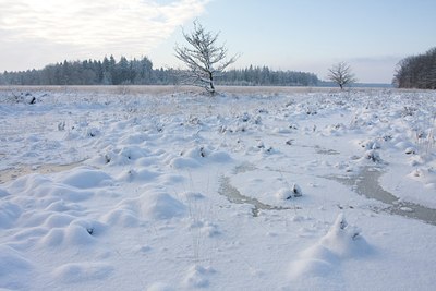 BUITEN BEELD Foto: 79305
