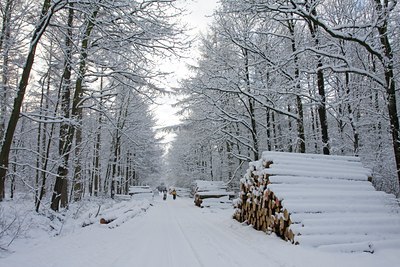 BUITEN BEELD Foto: 79307