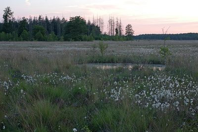 BUITEN BEELD Foto: 79310