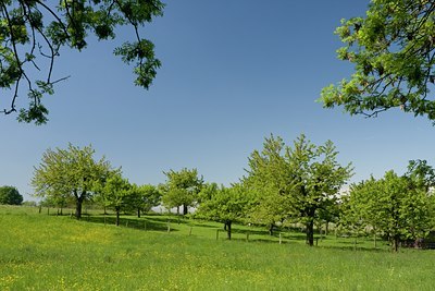 BUITEN BEELD Foto: 79345