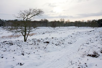 BUITEN BEELD Foto: 79353
