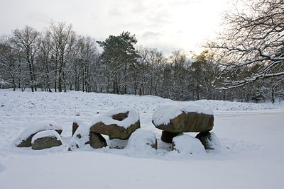 BUITEN BEELD Foto: 79355