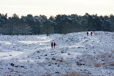 BUITEN BEELD Foto: 79357