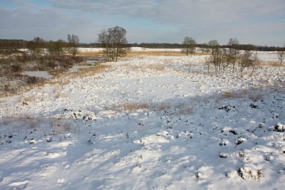 BUITEN BEELD Foto: 79359