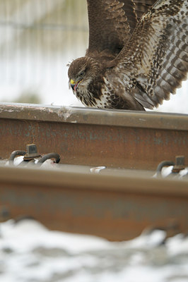 BUITEN BEELD Foto: 79365