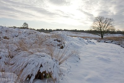 BUITEN BEELD Foto: 79373