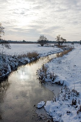 BUITEN BEELD Foto: 79376