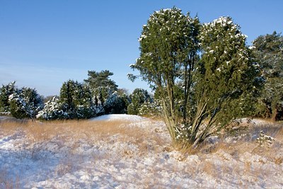 BUITEN BEELD Foto: 79384