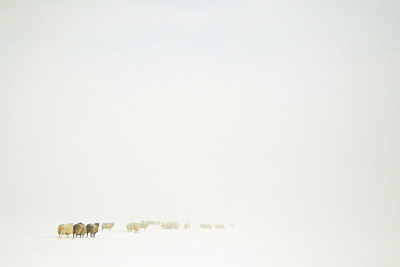 BUITEN BEELD Foto: 79398