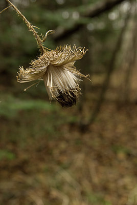 BUITEN BEELD Foto: 79446