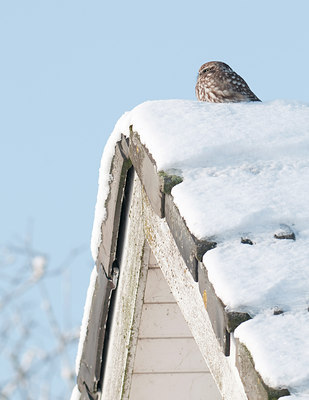 BUITEN BEELD Foto: 79479