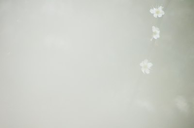 BUITEN BEELD Foto: 79508