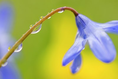 BUITEN BEELD Foto: 79513