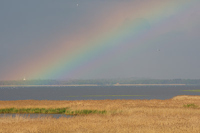 BUITEN BEELD Foto: 79558