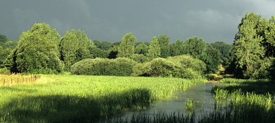 BUITEN BEELD Foto: 79581