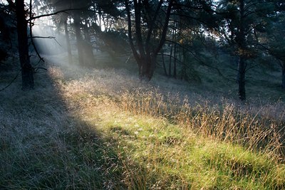 BUITEN BEELD Foto: 79637