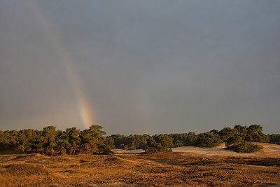 BUITEN BEELD Foto: 79656