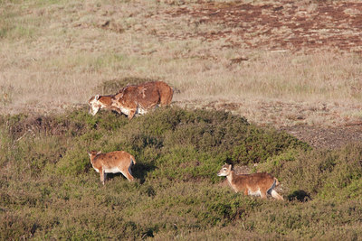 BUITEN BEELD Foto: 79723