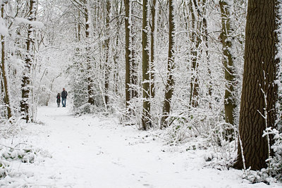 BUITEN BEELD Foto: 79774