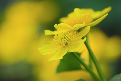 BUITEN BEELD Foto: 79777