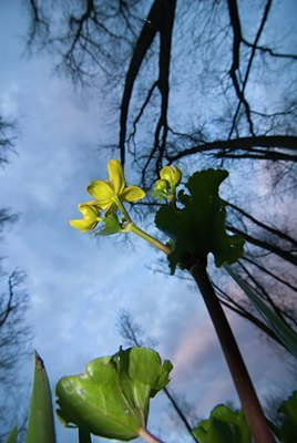 BUITEN BEELD Foto: 79792
