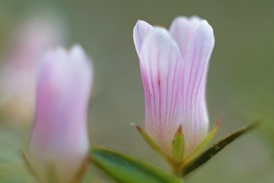 BUITEN BEELD Foto: 79816