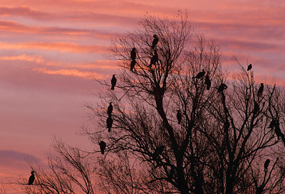 BUITEN BEELD Foto: 79925