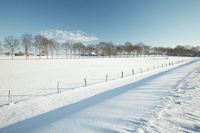 BUITEN BEELD Foto: 79983