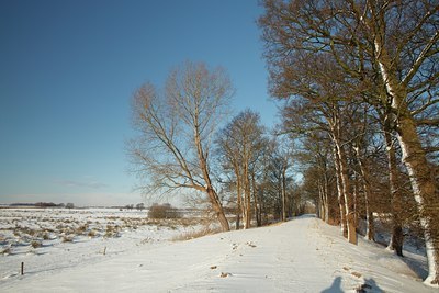BUITEN BEELD Foto: 79993