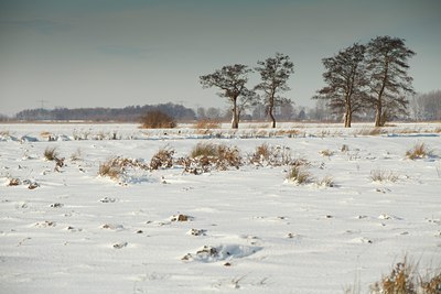 BUITEN BEELD Foto: 79994