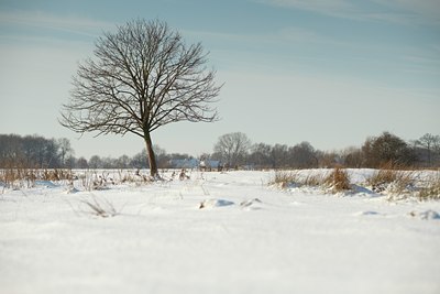 BUITEN BEELD Foto: 79995