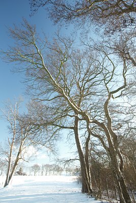 BUITEN BEELD Foto: 80001