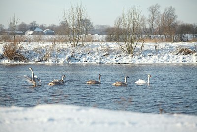 BUITEN BEELD Foto: 80010