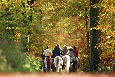 BUITEN BEELD Foto: 80018
