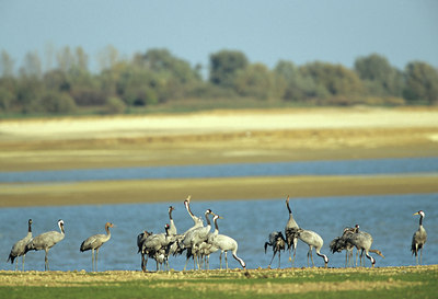 BUITEN BEELD Foto: 80035