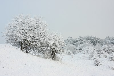 BUITEN BEELD Foto: 80061